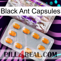 Black Ant Capsules new12